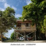 探索uedbet投注的优势与策略,提升你的游戏体验 th1c8mxa8s